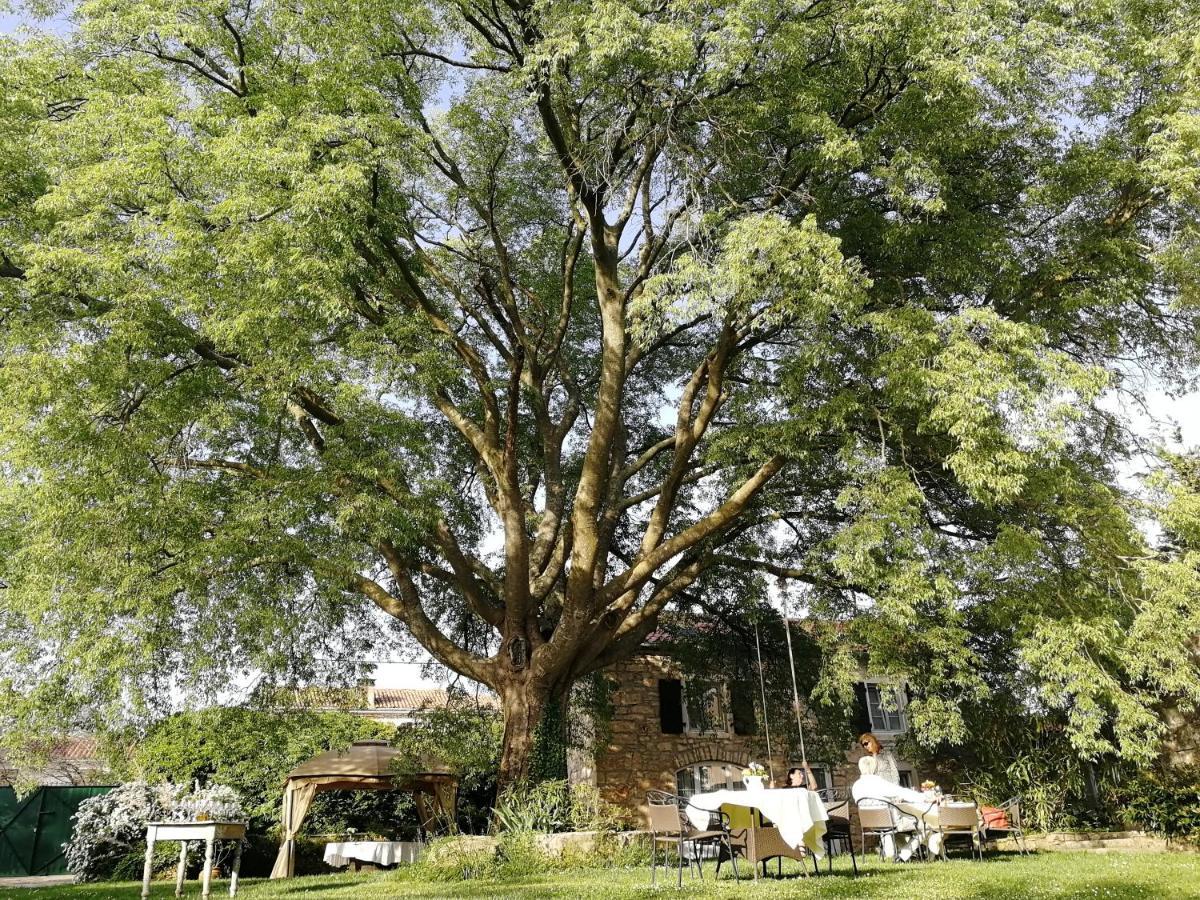 Boutique B&B Stancija 1904 Adults Only Svetvinčenat Dış mekan fotoğraf